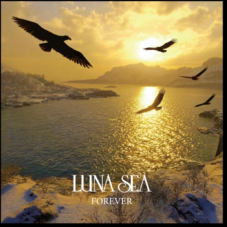 FOREVER【CD】
