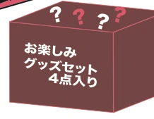 お楽しみグッズセット4点入り