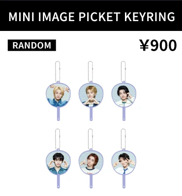 MINI IMAGE PICKET KEYRING