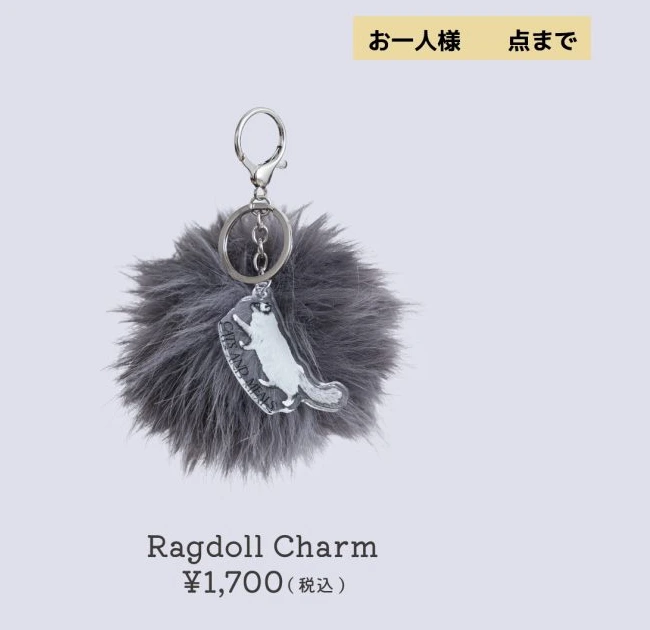 Ragdoll Charm