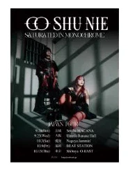 B3 TOUR POSTER