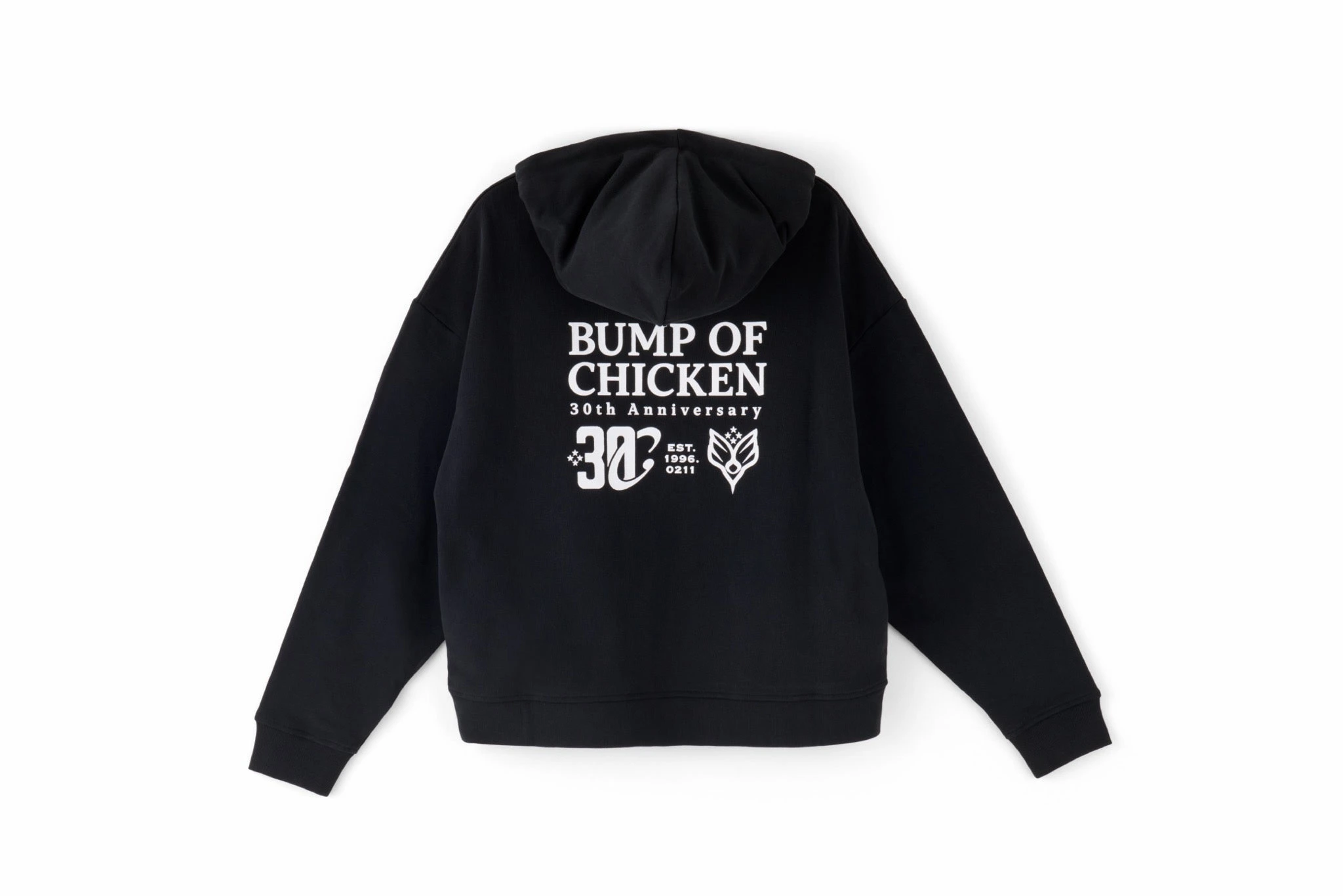 30th Logo Half Zip Hoodie