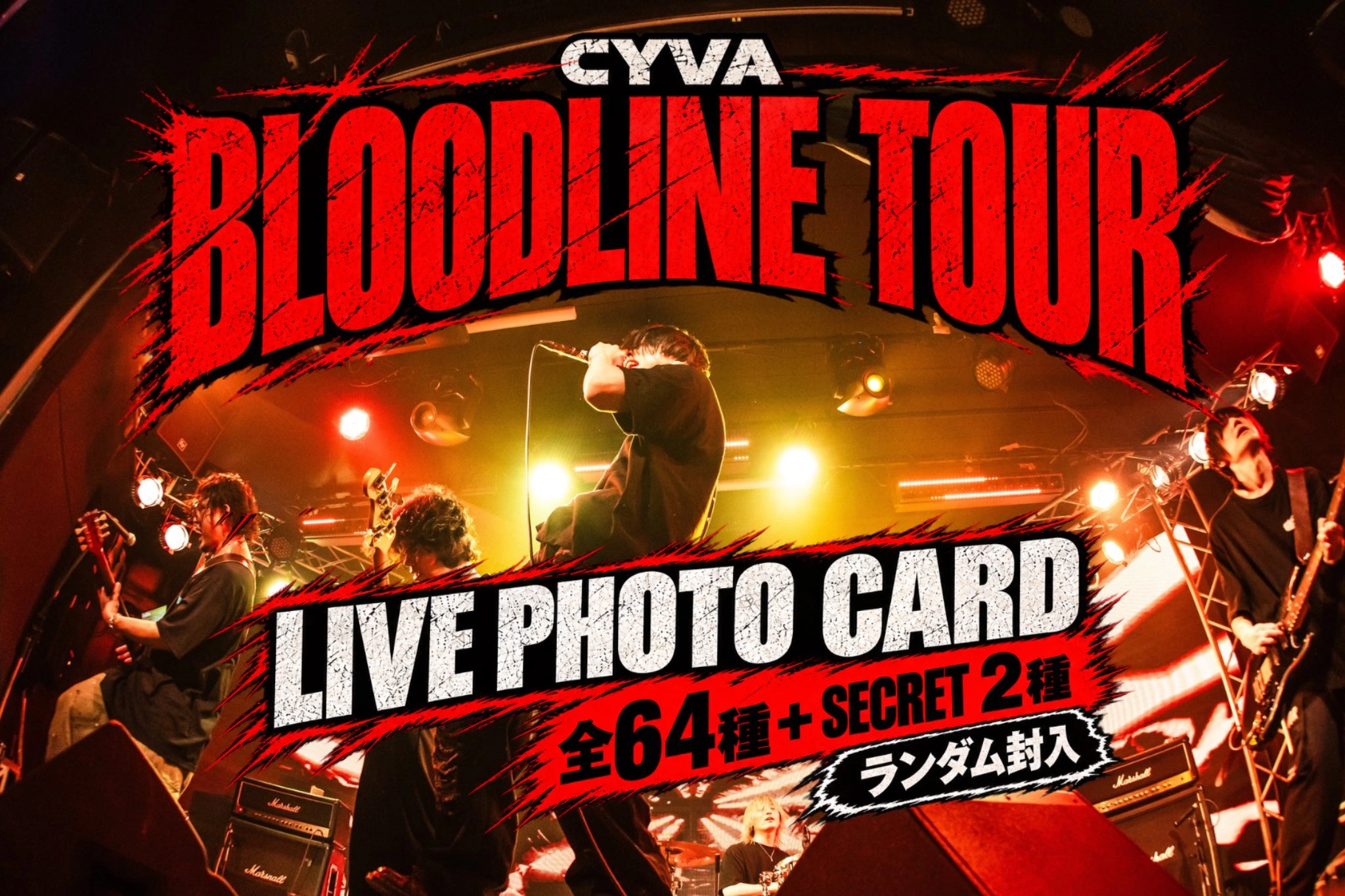 BLOODLINE TOUR LIVE PHOTO CARD