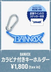 BANVOX カラビナ付きキーホルダー