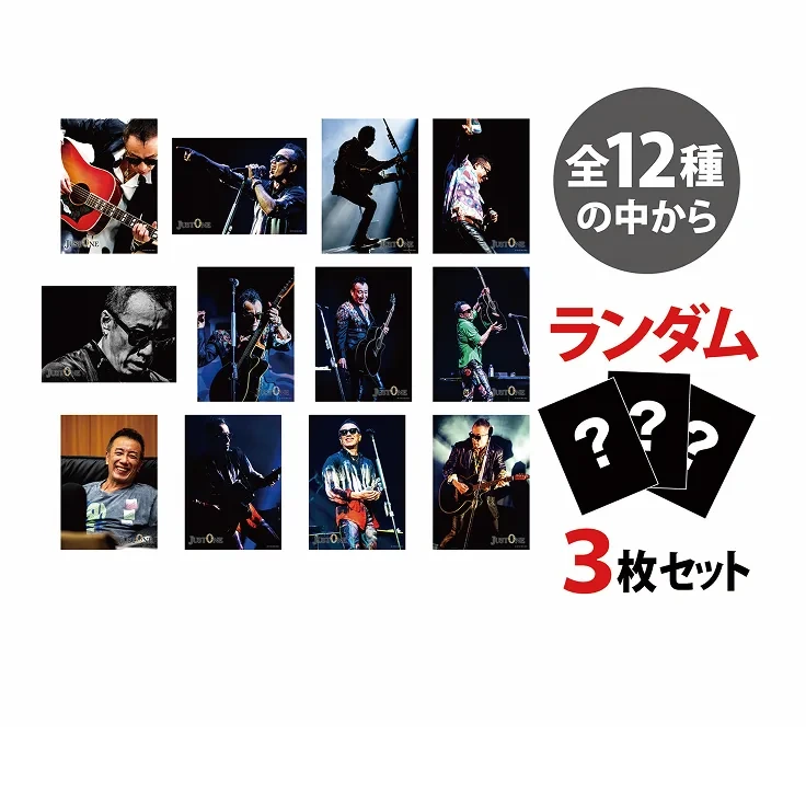 ランダム ブロマイド 3枚セット（全12種）