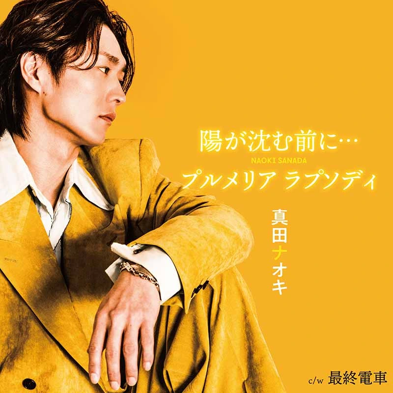 陽が沈む前に… / プルメリア ラプソディ（CD）