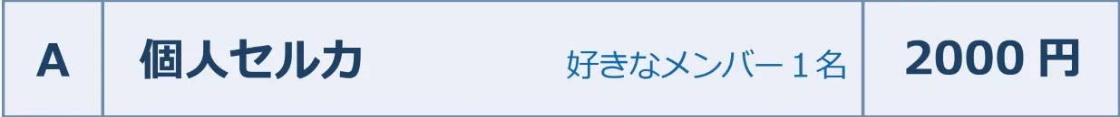 個人セルカ
