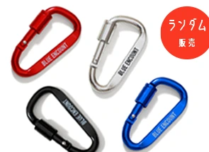 Carabiner（ランダム4色）