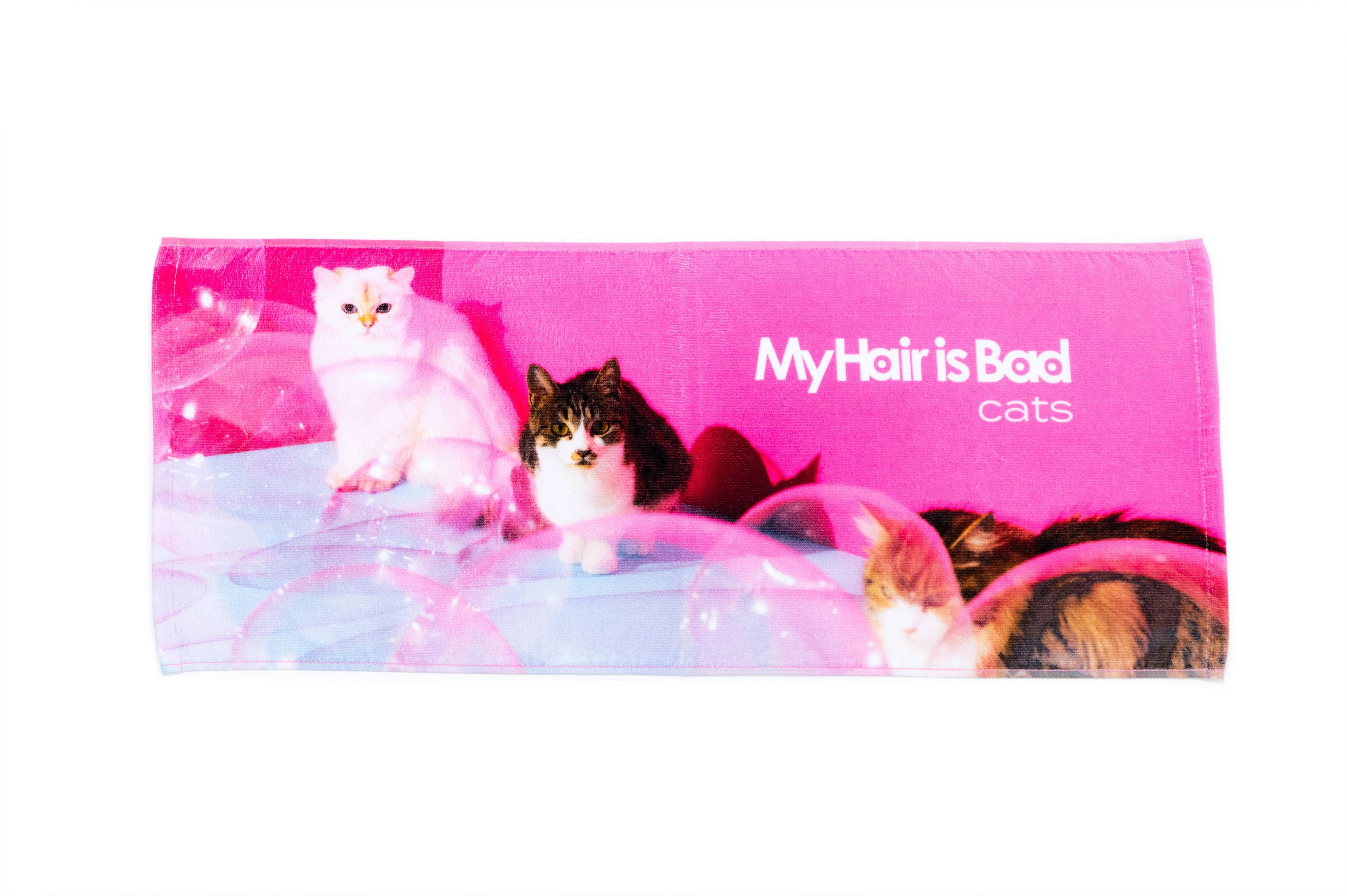 catsタオル