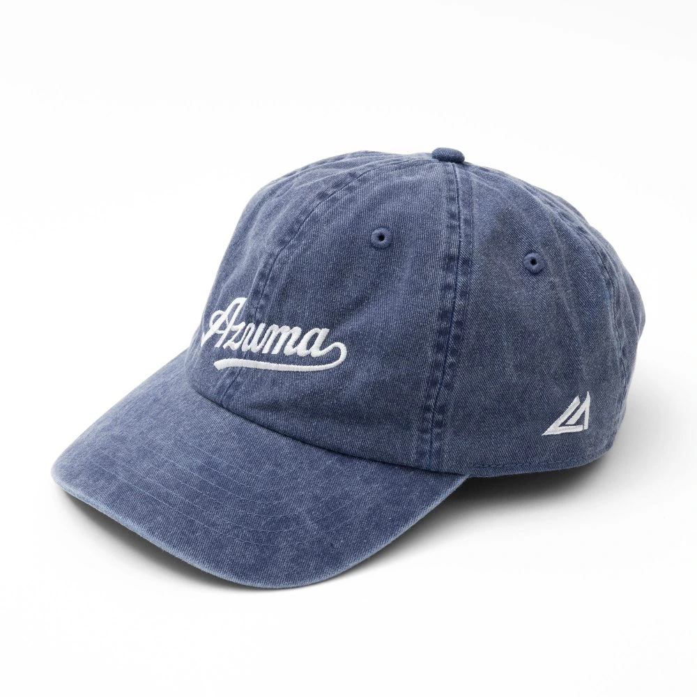 LA BASEBALL LOW CAP – PIGMENT BLUE