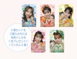 ぬいぐるみ5種セット購入特典カード