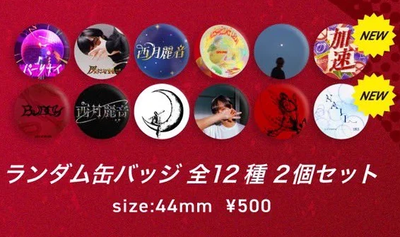 ランダム缶バッジ 2個セット