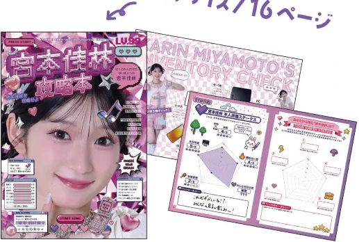 ツアー攻略本