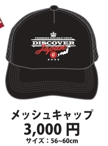 メッシュキャップ