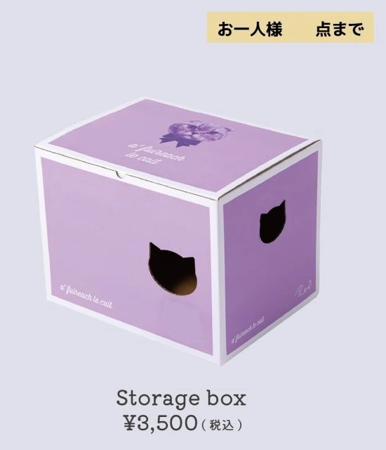 Storage box