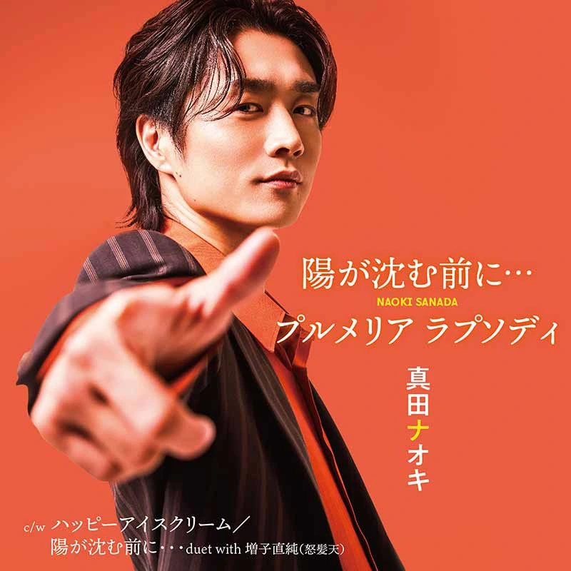 再追撃盤 陽が沈む前に… / プルメリア ラプソディ（CD）
