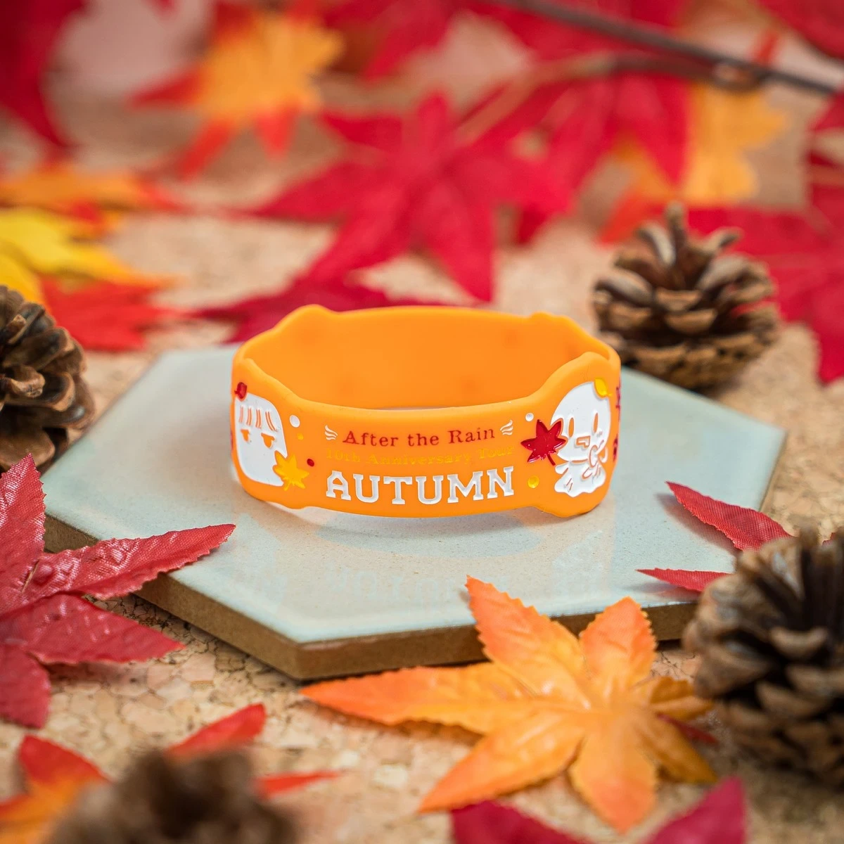 ラバーバンド -10th Autumn-
