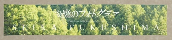 追憶のフォトグラフ タオル