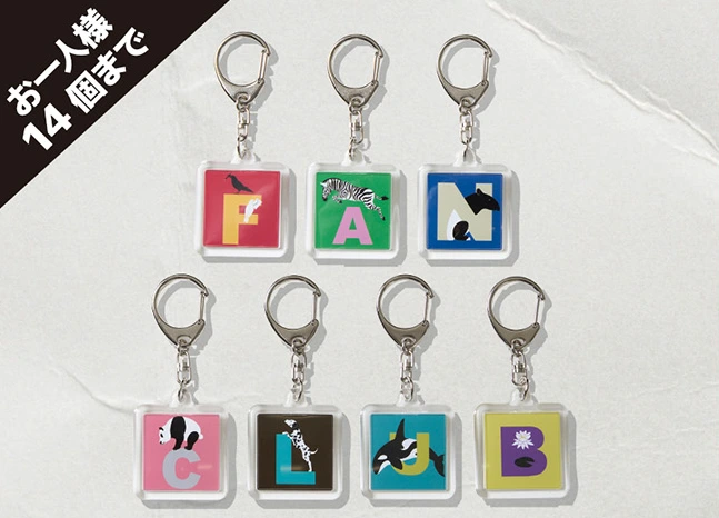 RANDOM KEY CHAIN