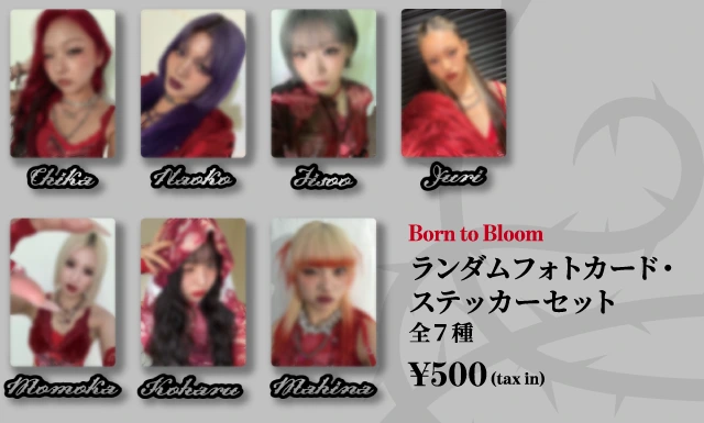 Born to Bloom ランダムフォトカード・ステッカーセット