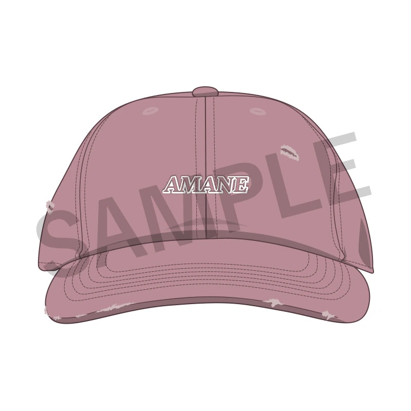 OSHI API Cap