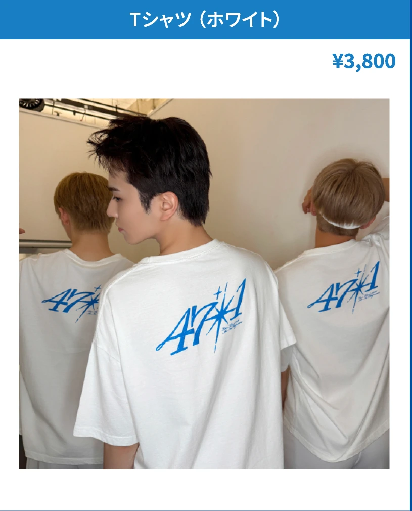 Tシャツ